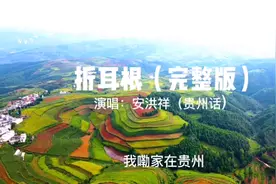 完整版《折耳根》一首歌拉近了在外游子的心，有多少人吃过折耳根视频封面