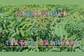 手机应用软件卸载，有人第一步就错了  ，2分钟学会无残留卸载