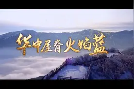 34名守林人，在“华中屋脊”度过了16载日日夜夜视频封面