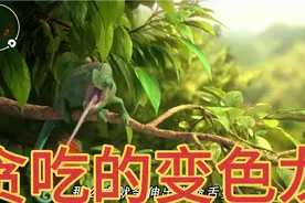 你知道吃货变色龙是如何走向毁灭的吗？2分钟解说动画《变色龙》视频封面