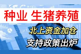 农业一揽子支持政策出炉，这些领域获重大利好（附股）视频封面
