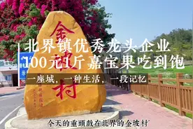 探索信宜北界镇优秀龙头企业嘉宝果场，100元一斤的嘉宝果吃到视频封面