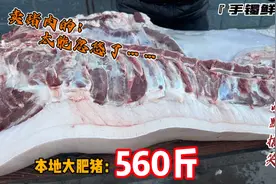 手镯卖猪肉有两下子，能说会道幽默搞笑，560斤大胖猪忽悠着卖了视频封面