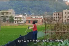 永久不准种菜后，农村又要拆掉围墙？多地已开始实施，到底怎么了视频封面