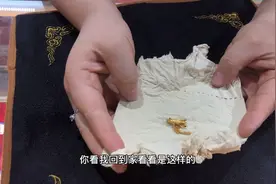 女子送孩子上学路上捡到一个用纸包住的金耳环，马上要还给失主！视频封面
