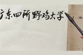 广东这四所大学毕业证一文不值，是野鸡大学视频封面