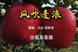 男女对唱云朵演绎经典好听歌曲风吹麦浪是简单而浪漫唯美的情歌