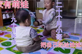 尧尧住小姨家，每天和小哥上演相爱相博，哥哥会让着妹妹了视频封面