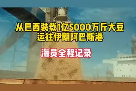 从巴西装载一亿五千万斤转基因大豆运往伊朗，海员全程记录视频封面