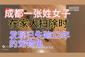 四川成都一女子，在家里大扫除时发现已失踪12年的宠物龟，已成干视频封面
