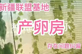 虻都联盟基地遍布全国各地，欢迎你加入餐厨养殖黑水虻昆虫行列…视频封面