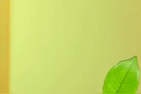 我的微信号是手机给你，可以的话你加一下，159749视频封面