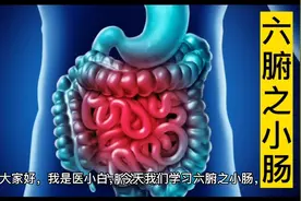 藏象学说之五脏六腑——小肠