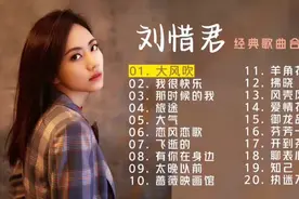 刘惜君 声音纯正清透女歌手 经典歌曲合集20首视频封面