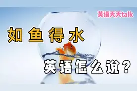 “如鱼得水”的英语，原来跟“fish”一点关系都没有视频封面