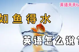 “如鱼得水”的英语，原来跟“fish”一点关系都没有视频封面