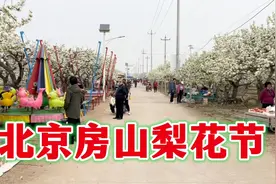 北京房山贾河梨花节开了，门票免费，停车10元，一起来逛一下视频封面