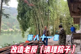 翻修农村房子养老，清理院子里的杂物，小院越来越漂亮了视频封面