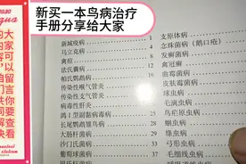 观赏鸟各种疾病的预防和治疗，期待和大家共同交流进步。先收藏了视频封面