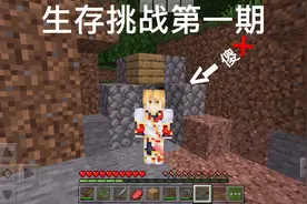 我是智障视频封面