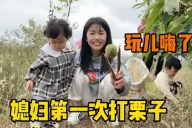 东北姑娘远嫁山东小伙，第一次见漫山遍野的板栗，被扎得哇哇大叫视频封面