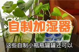 北方室内空气干燥，鼻出血皮肤干裂，室内湿度多少为最好？视频封面