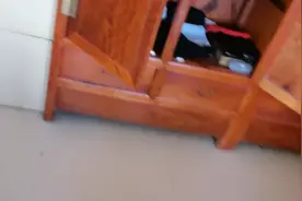 越南花梨家具可稳定中枢神经，促进睡眠！！！！！视频封面