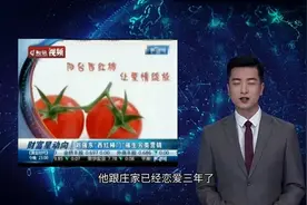 刘强东这辈子最后悔的事（六）西红柿门