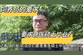 看大熊猫花花那么可爱想去当饲养员，来看看对饲养员有什么要求？视频封面