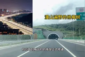 慈溪做为一个县级市，有高架哦。今年自驾到慈溪摘杨梅方便多了。视频封面
