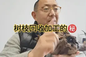 树枝回收加工赚钱吗？#农村#回收#新能源视频封面