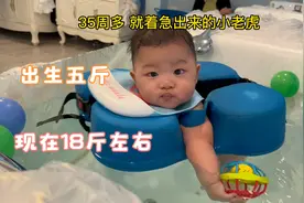 还差五天就六个月的小老虎，出生五斤到现在十八斤左右，没拖后腿