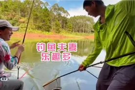 广西云姐，从城市回农村田园生活夫妻钓鱼为乐，试管婴儿努力造人视频封面