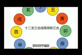 天干地支掌决图@西瓜创作研究中心 @DOU+小助手视频封面