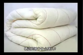 晒过的被子可以马上就盖吗？一起来看看吧视频封面