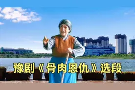 豫剧《骨肉恩仇》选段，长江水一去不回转，王燕原声唱腔配像演绎视频封面