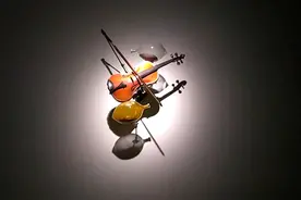 感性机器——后资本主义时代的自我疗愈视频封面
