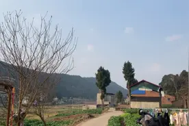 老婆太能吃，牙齿痛还要吃辣的，而且还是一大碗。视频封面