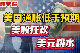 10月美国通胀低于预期，美股狂欢，美元跳水视频封面