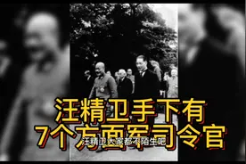 抗战时期，汪精卫手下共7个方面军，司令官都是谁？视频封面