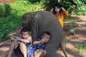 小象和小朋友们玩的好开心👍👍视频封面