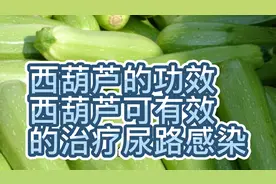 西葫芦的功效与作用，可以治疗高血压，糖尿病，尿路感染等疾病！视频封面