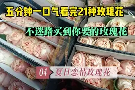 视频包含21种颜色的玫瑰鲜花，花型花色各不相同，买花不迷路多看视频封面