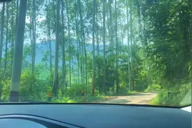 广东韶关猴寨。畅游天然泳池。夏日泡潭玩水的好地方视频封面