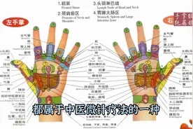 手部相对应人体各个器官反射区视频封面