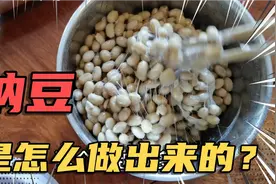 纳豆的功效，润肠通便，调节血糖，溶解血栓，调节血脂，排毒养颜视频封面