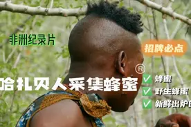 非洲纪录片，原始部落哈扎贝人，清晨在树洞里采集野生蜂蜜视频封面