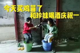 辉哥半夜邀请女助理喝红酒，突然看到女助理羞答答的，很快脱单了视频封面