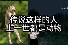 传说这样的人前世身份是动物视频封面