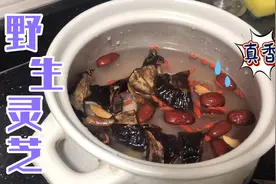 灵芝煲鸡注意几点就不会苦涩，不然起不到降三高提高免疫力作用。视频封面